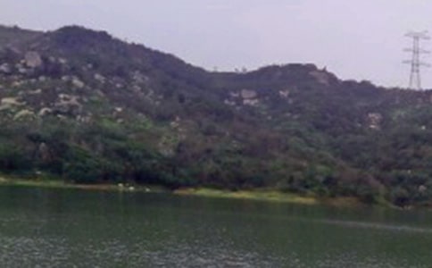 �P(gu��n)��ˮ��Č�����惞(y��u)�㷶�ģ�ͨ��10ƪ��