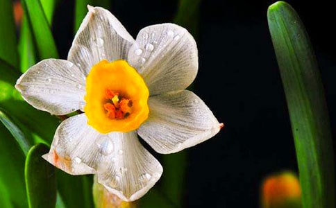 �P(gu��n)��ˮ�ɵ����꼉����