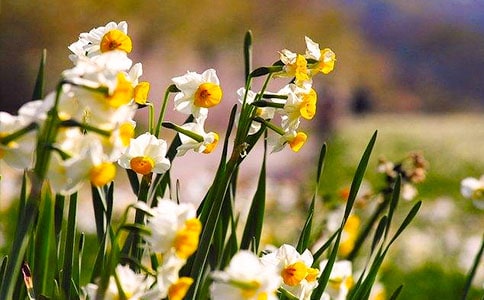 �P(gu��n)��ˮ�ɻ���ɢ�ģ����x21ƪ��