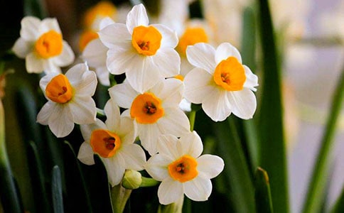 ������ˮ�ɻ����^����ӛ