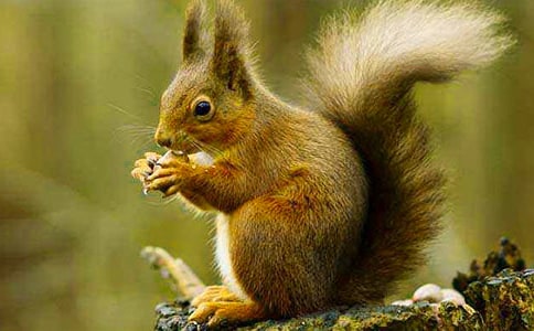 С�����һ�����һ�n�r�̌W�O(sh��)Ӌ���ģ����x5ƪ��