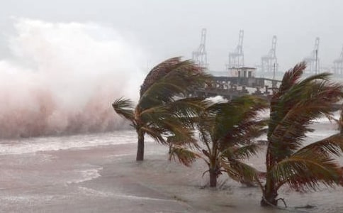 ���P(gu��n)�_�L(f��ng)��(y��ng)���A(y��)�������x5ƪ��