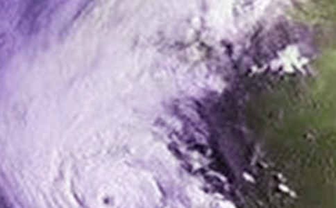 �_�L�ܞĵ�ο����