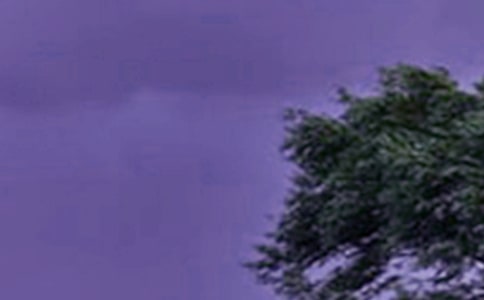 �A(y��)���_(t��i)�L(f��ng)��(y��ng)���A(y��)�����ģ����x12ƪ��