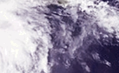 �����_�L(f��ng)��(y��ng)���A(y��)�������x34ƪ��