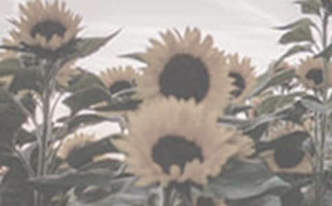 �P(gu��n)��̫ꖻ��^����ӛ����