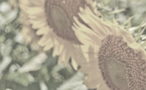 ��ϲ�g̫ꖻ� - �茑ֲ�������400��