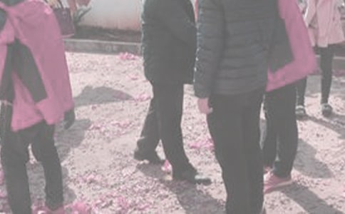 �����̽�H��Ո��(8ƪ)