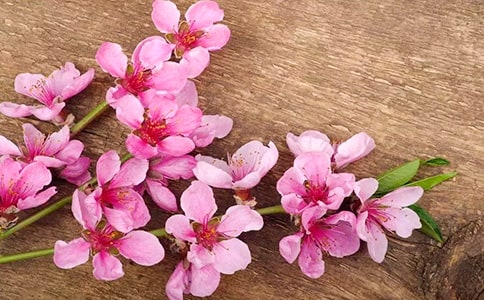 �茑�����һ��ă�(y��u)�����Ӵ�ȫ