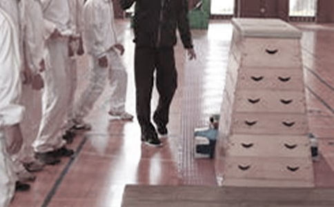 С�W�w���̌W�̰�����