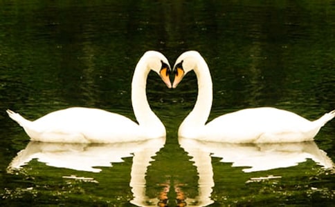 �������Z�tɺ�����x��з��ģ�ͨ��7ƪ��