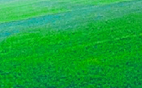 田野在召喚評(píng)課稿