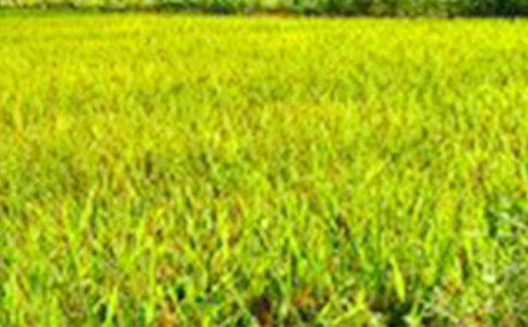 ��������Ұ_650��