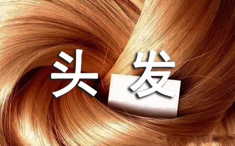 頭發(fā)的故事 Stories of Hair