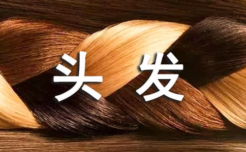 一根頭發(fā)的旅行500字想象作文