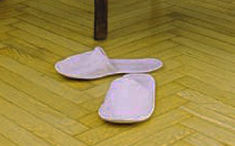 ����όW(xu��)�����g(sh��)�̰����ҵ�С��Ь����ͨ��15ƪ��