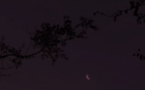 �����T(m��n)��2022�����õ���������Ȧ��(w��n)���Z(y��)�ϼ�50��