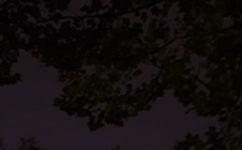 �����Ĝ�ܰ���������Z����Ȧ�󼯺�55��