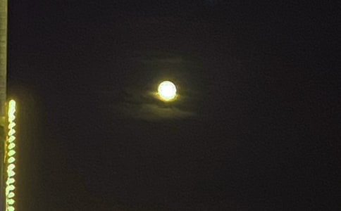 2024�꺆(ji��n)�ε�������(l��)־�Z(y��)��\��44�l