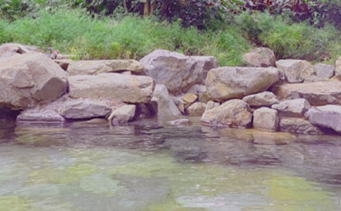 ��Ȫ���ΏV���Z