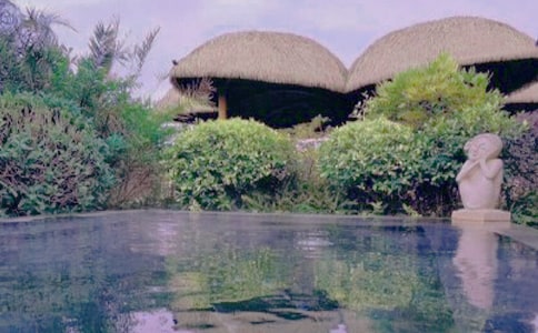 泡溫泉五年級(jí)作文