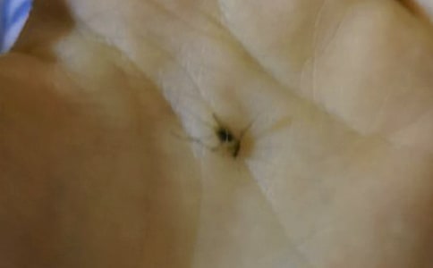 ���o���ӵ�һ����