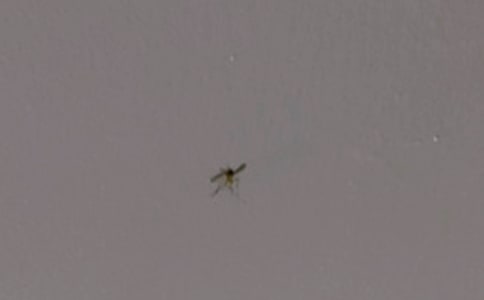  ����֮��Ԋ��