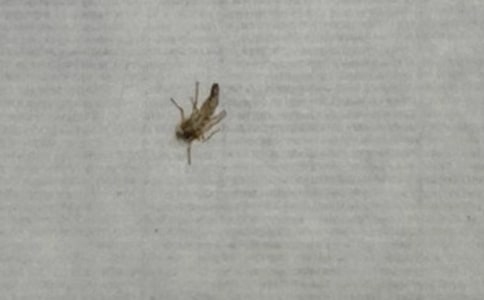 ���o���ӵ�һ����600��-С�W(xu��)���꼉(j��)��������