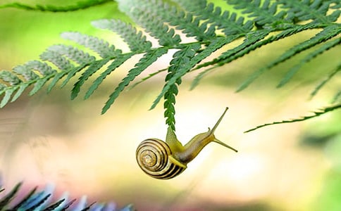 �^��΁ţ��ӛģ�弯��10ƪ