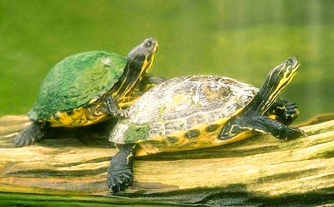 �P(gu��n)��С�����^����ӛ�����\��7ƪ