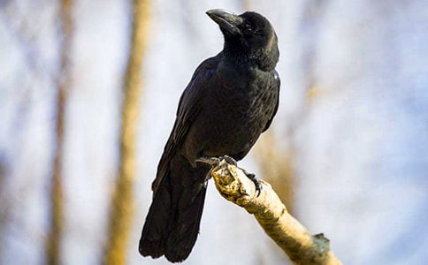 �����f��ˮ���̌W(xu��)�O(sh��)Ӌ(j��)����