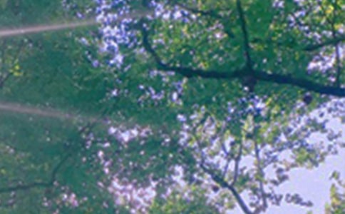 �����簲�İ���ȫ�����x50�䣩