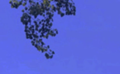 �P(gu��n)��Ψ���簲���ӣ�ͨ��90�䣩