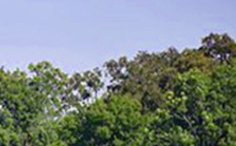 �P(gu��n)�ڄ�(l��)־�簲�Z(y��)�30��