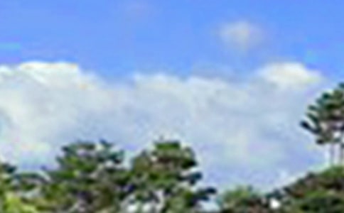 �P������Ȧ�簲���ӣ�ͨ��30�䣩