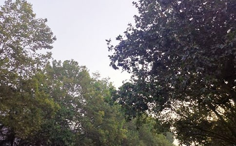 ��(j��ng)���־�簲�Z䛅R����ͨ��80�䣩