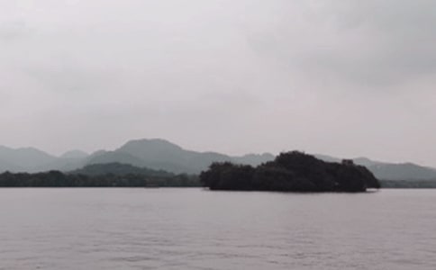 ������(d��o)���~����5ƪ