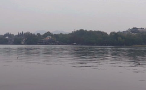 美麗的西湖評課稿