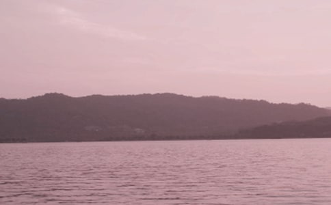 ����������(d��o)���~���Z