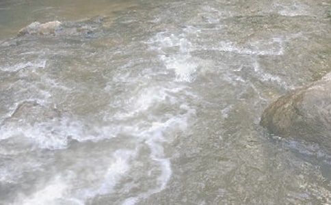 Ϫ���oɢ���S�P