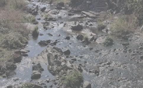 �T(m��n)ǰ�ЗlСϪ�����꼉(j��)����