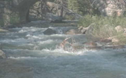 小溪流的清婉美作文