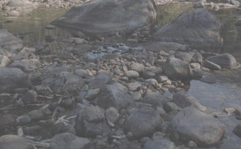 清清小溪流寓言故事