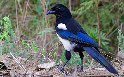 �P(gu��n)��ϲ�oͯԒ����7ƪ