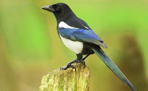 ϲ�oͯԒ�����\��7ƪ