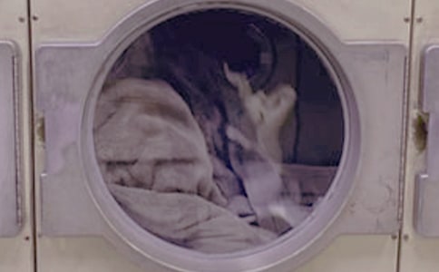 �ҌW(xu��)��(hu��)��ϴ�·�-���꼉(j��)����