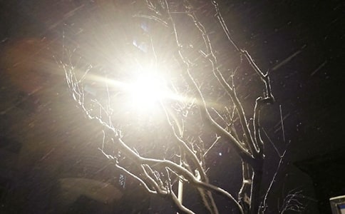 ��������ѩ���ֳ���(b��o)