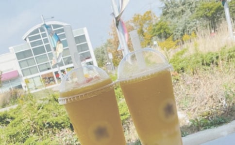 ��������Ո�������x���550��