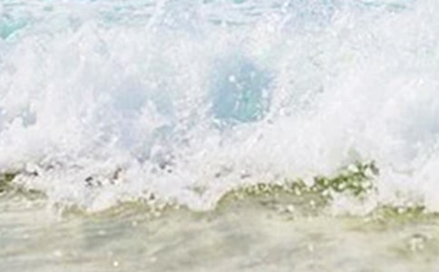 ���o�������ﺬ�I��΢Ц�ľW(w��ng)�j(lu��)ɢ��