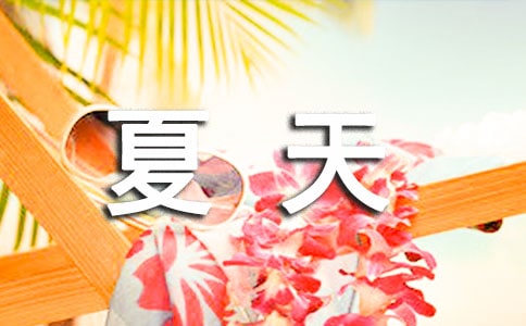《夏天的故事》讀后感